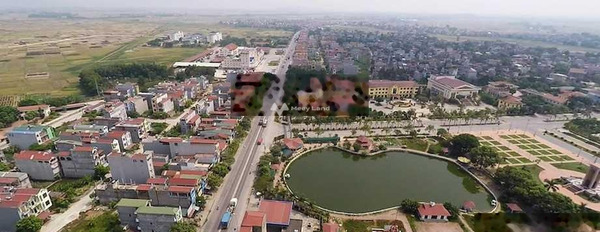 Bán đất với diện tích là 110m2 vị trí tại Lạng Giang, Bắc Giang-02