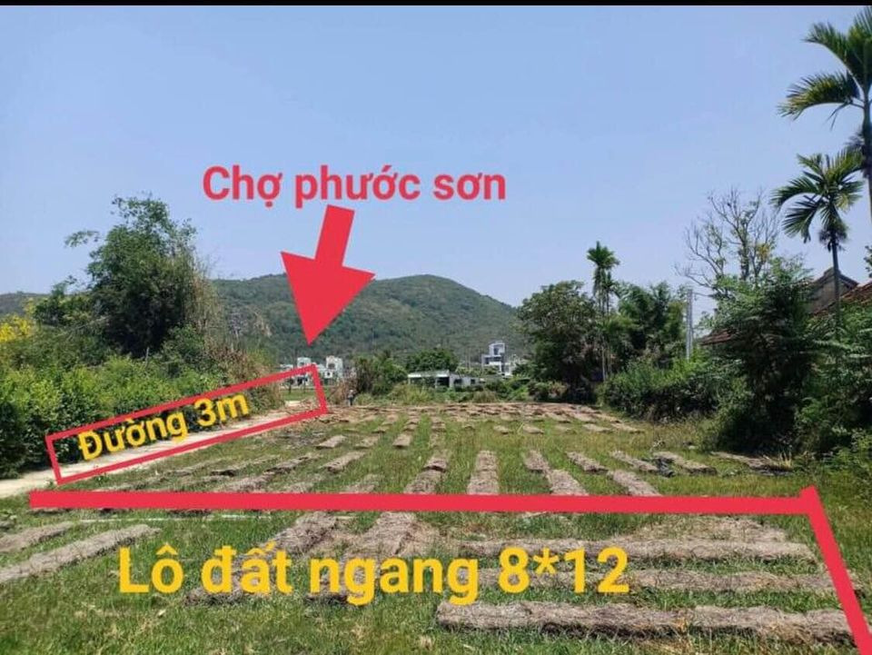 Cần bán đất huyện tuy phước tỉnh bình định giá 0.0 triệu-1