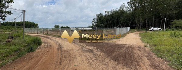 Bán đất tại xã Định An, Dầu Tiếng, Bình Dương. Diện tích 2500m2, giá 3,6 tỷ-03