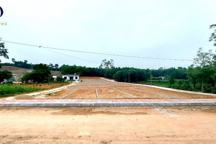 Bán đất nền sổ đỏ sẵn, cạnh hồ, gần khu công nghiệp Lam Sơn, sổ đỏ sang tên ngay-01