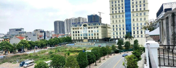 Hồng Tiến, Hà Nội bán đất giá khởi điểm chỉ 40 tỷ diện tích trong khoảng 190m2-03