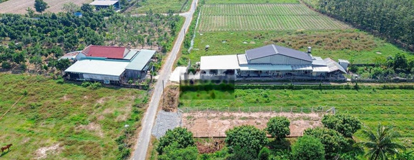 790 triệu bán đất diện tích gồm 400m2 vị trí đẹp ngay ở Phước Thạnh, Tây Ninh-03