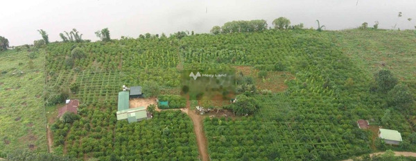 Giá bán thỏa thuận 200 triệu bán đất có diện tích khoảng 1000m2 vị trí mặt tiền tại Đắk R'Lấp, Đắk Nông-02