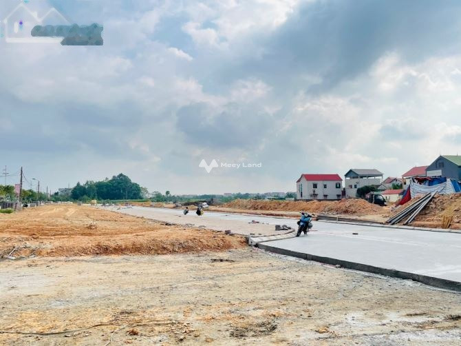 Cắt lỗ bán mảnh đất, 100m2 giá bán đàm phán chỉ 1.45 tỷ vị trí thuận lợi ở Sóc Sơn, Hà Nội, đường nhựa ngang 8 mét vị trí tốt-01