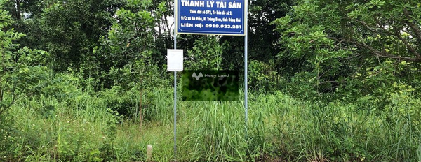 Ở An Viễn, Đồng Nai bán đất 940 triệu diện tích chuẩn 100m2-02