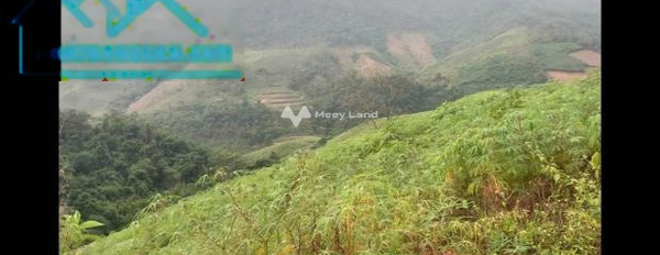 Mộc Châu, Sơn La bán đất giá rẻ bất ngờ chỉ 100 triệu diện tích trong khoảng 1000m2-02