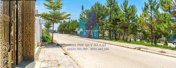 Bán biệt thự vị trí tại Bùi Thị Xuân, Đà Lạt giá bán đề xuất 37 tỷ có diện tích tiêu chuẩn 290m2, hướng Tây Bắc, trong nhà có tất cả 6 PN-02