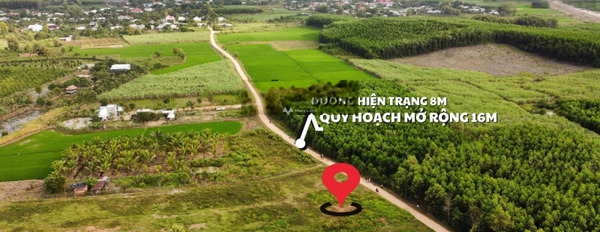 Diên Khánh, Khánh Hòa 379 triệu bán đất, hướng Tây - Nam với diện tích chuẩn 558m2-02