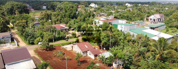 Ở Buôn Ma Thuột, Đắk Lắk bán đất, giá bán đàm phán chỉ 599 triệu, hướng Đông Diện tích đất 100m2-03