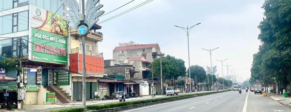 Bán đất tại Quốc Lộ 1A, Ninh Bình. Diện tích 94m2-03