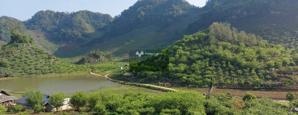 Chiềng Hắc, Mộc Châu 950 triệu bán đất diện tích sàn là 2207m2-02
