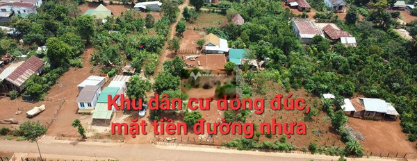 Bán đất 530 triệu Cư Pơng, Krông Búk diện tích chuẩn là 373m2-03