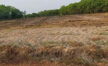 Giá bán cực sốc chỉ 779 triệu bán đất tổng diện tích 1000 m2 mặt tiền tọa lạc ngay Quốc Lộ 13, Bình Phước-03