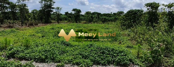Vị trí mặt tiền gần Lộc Thắng, Lâm Đồng bán đất giá mua liền 400 triệu dt là 220 m2-02