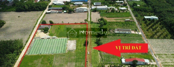 Giá mềm 1.1 tỷ, Bán đất Diện tích nền 250m2 ngay trên Nguyễn Minh Châu, Tây Ninh giá tốt nhất-02