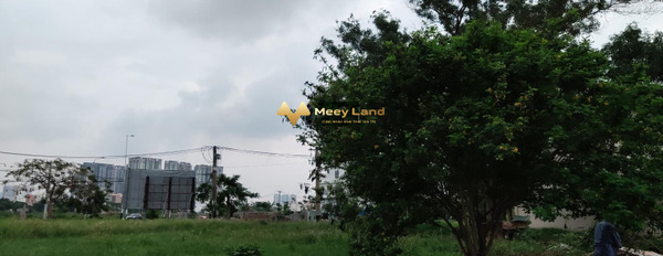 Khoảng 28.6 tỷ bán đất diện tích cụ thể 260 m2 ở Phường Thạnh Mỹ Lợi, Hồ Chí Minh, hướng Nam-02
