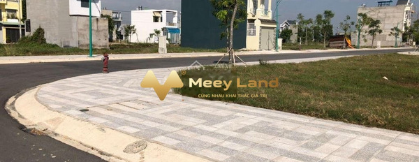 Vị trí mặt tiền ngay Thị Trấn Tân Túc, Huyện Bình Chánh bán đất, giá hấp dẫn 950 triệu có dt trung bình 80 m2-02