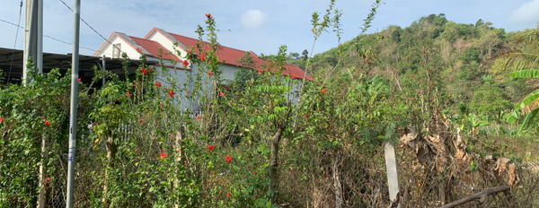 Bán đất tại xã Hàng Gòn, Long Khánh-03