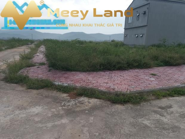 Ở Hoàng Mai, Nghệ An cho thuê đất, thuê ngay với giá ưu đãi từ 1.4 tỷ/tháng Diện tích nền 144 m2-01