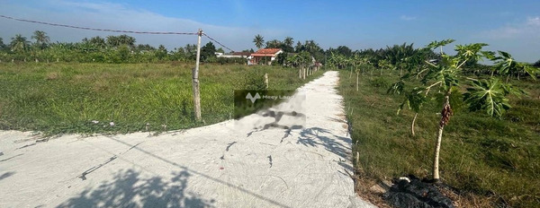 Châu Thành, Long An bán đất giá bán êm chỉ 1.75 tỷ diện tích thực khoảng 2450m2-02