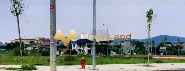 Ở Xã Đông Thịnh, Tỉnh Thanh Hóa bán đất 1 tỷ diện tích mặt tiền 100 m2-03