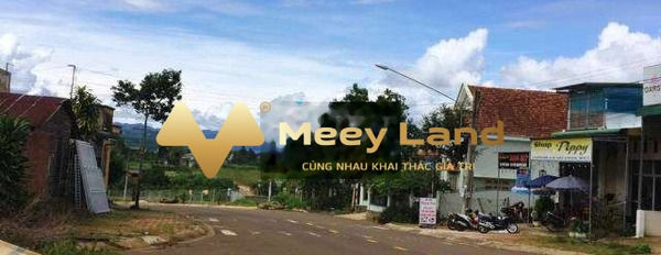 Giá mềm 3 tỷ bán đất Có tổng diện tích 524 m2 vị trí thuận lợi ngay ở Phường Lộc Tiến, Tỉnh Lâm Đồng-03