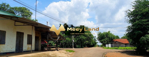 Bán đất 225 triệu Nguyễn Thị Định, Đắk Lắk toàn bộ khu vực có diện tích 125 m2-03