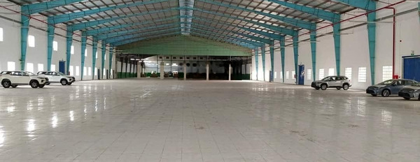 Cho thuê kho xưởng trần cao 8m tổng 5500m2 tại Tân Thới Nhất 8 - Quận 12 -02