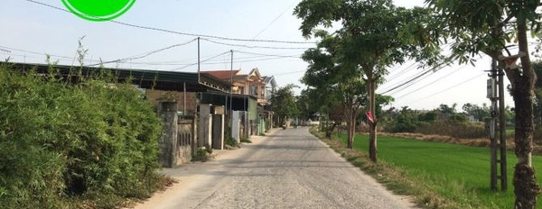 Bán đất diện tích 175m2 tọa lạc tại Phú Vang, Thừa Thiên Huế, hướng Nam-03