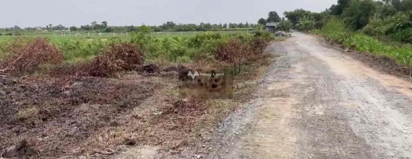 Bây giờ tôi cần bán đất Nhà Vuông, Củ Chi giá bán khủng chỉ 3 tỷ với diện tích tiêu chuẩn 1061m2-03