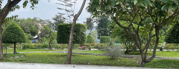 Cần bán đất KDC Nam Hùng Vương đối diện công viên - An Lạc, Quận Bình Tân -03