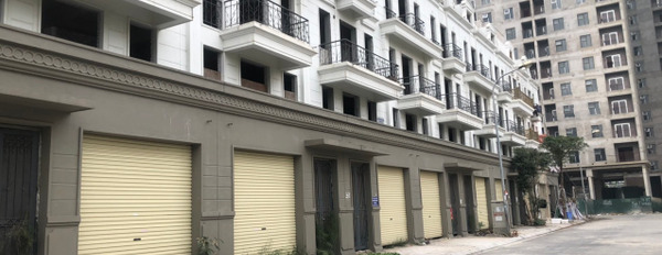 Cần bán căn shophouse Thuận An Hải Phát tại Trâu Quỳ, Gia Lâm, Hà Nội. Diện tích 90m2, giá 10 tỷ-03