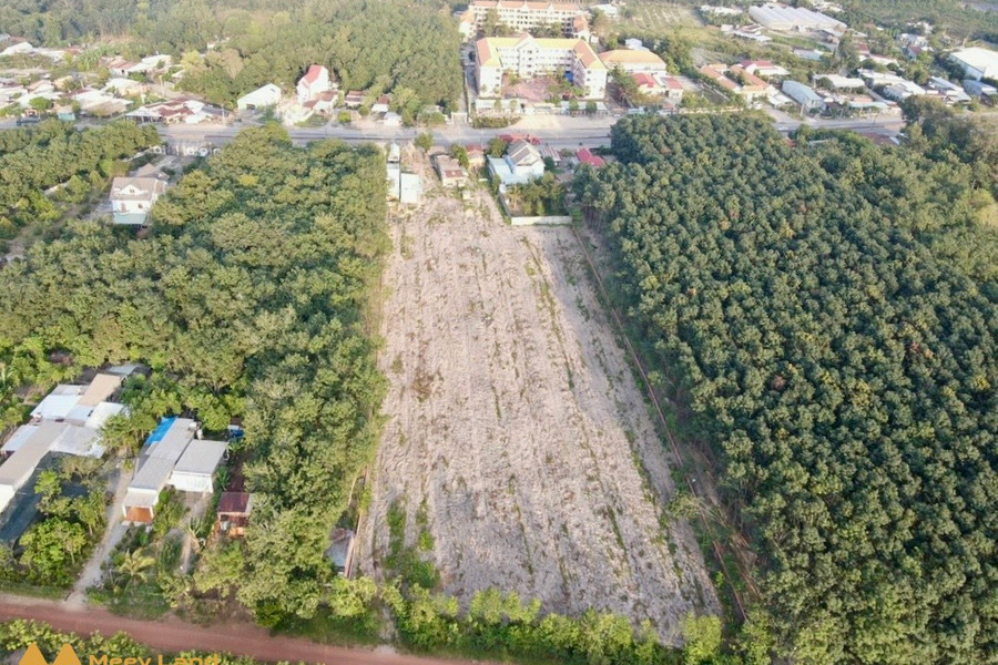 Bán đất nền Phú Giáo diện tích 11160,2m2, giá rẻ nhất thị trường-01