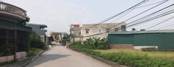 Bán đất mặt đường Đồng Niên, Thành phố Hải Dương, diện tích 70-75m2, mặt tiền 4,5m, giá đầu tư, vị trí đẹp-02