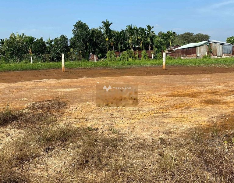 Ngay tại Nguyễn Thị Lắng, Tân Phú Trung bán đất, giá sang tên 2.1 tỷ có diện tích tổng 500m2-01