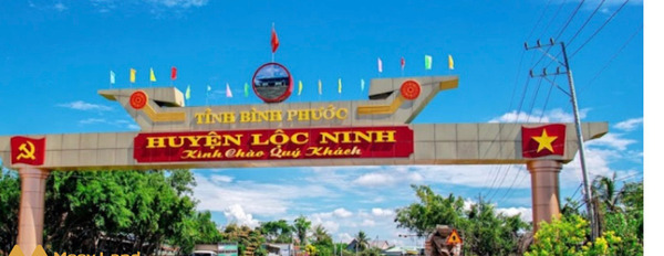 Chính chủ cần bán gấp đất sào ở Lộc Thành, Lộc Ninh, Bình Phước-02