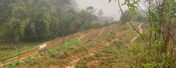 Bán đất Tả Phìn, Sapa, thông Giang Trà, xã Tả Phìn, giá chỉ từ 1 triệu/m2-03