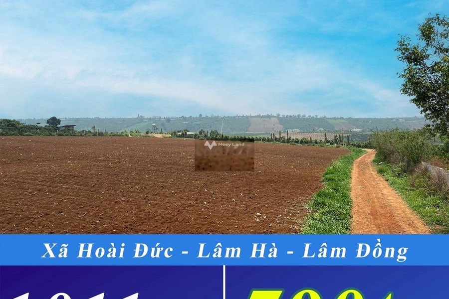 Giá bán hợp lý từ 790 triệu bán đất diện tích chung quy 1000m2 vị trí đẹp tọa lạc ngay Hoài Đức, Lâm Đồng-01