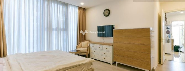 Cho thuê căn hộ vị trí thuận lợi tọa lạc tại Quận 1, Hồ Chí Minh, thuê ngay với giá mềm 20 triệu/tháng diện tích là 79m2-02