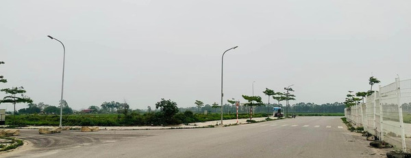 Bán đất tại Tam Sơn, Từ Sơn, Bắc Ninh. Diện tích 100m2-03
