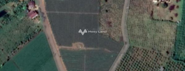 Tại Lý Thái Tổ, Lâm Đồng bán đất 68 triệu diện tích tổng là 10m2-03