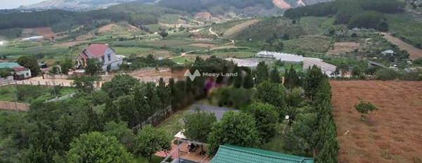 Diện tích 1470m2 bán nhà ở vị trí thuận lợi tọa lạc ngay trên Tà Nung, Lâm Đồng tổng quan căn này gồm có 3 phòng ngủ 4 WC tin chính chủ-02