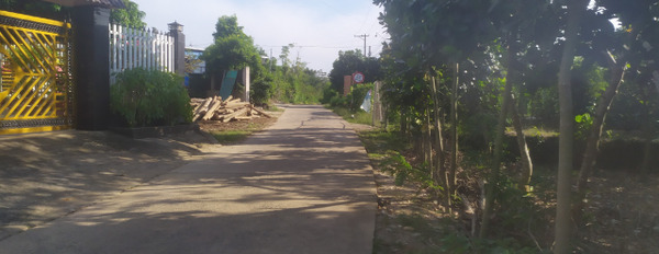 Bán 3663m2 đất nở hậu tại xã Tà Lài, Tân Phú-02