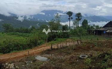 600 triệu bán đất Diện tích đất 600m2 vị trí đẹp tọa lạc trên Y Tý, Lào Cai-03