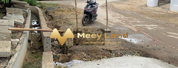 Nằm tại Xã Xuân Phú, Tỉnh Thanh Hóa bán đất 1.4 tỷ diện tích thực 179 m2-02