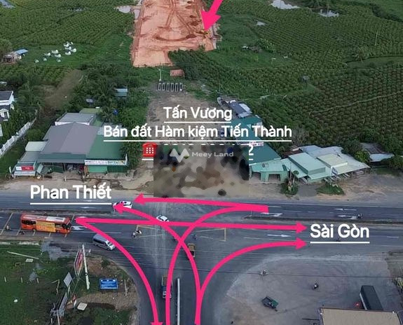 Hàm Kiệm, Bình Thuận 5 triệu bán đất diện tích thực 3000m2