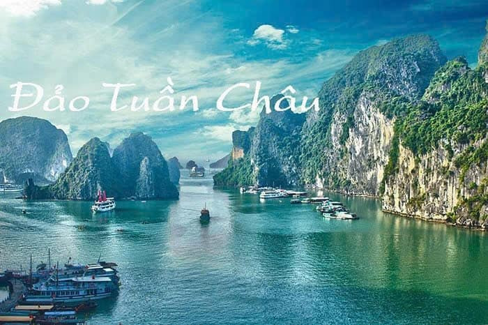 Bán đất thành phố Hạ Long tỉnh Quảng Ninh giá 25.0 triệu/m2-1