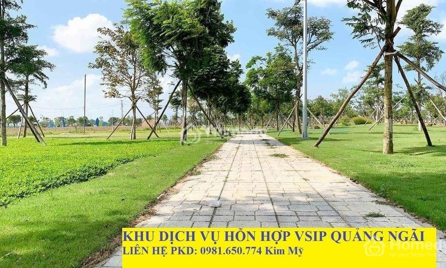 Đang cần gấp tiền bán đất Sơn Tịnh, Quảng Ngãi có một diện tích là 132m2-01