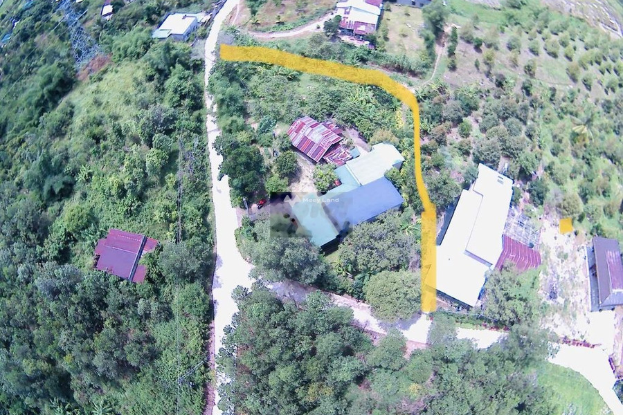 Bán đất 4 tỷ Ma Đa Guôi, Lâm Đồng diện tích tầm trung 1723m2-01