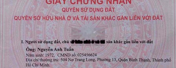 Bán đất 100m2 thổ cư Thôn Tân Trung, xã Châu Pha, thị xã Phú Mỹ -03